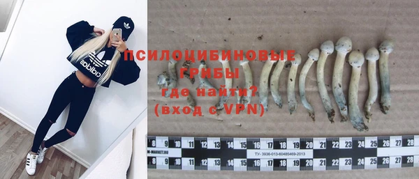 мескалин Нея