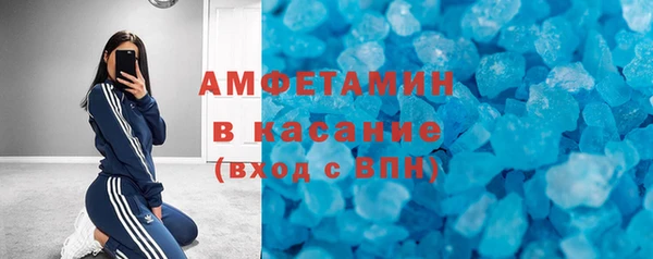 гидра Надым