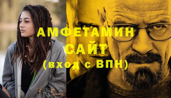 гидра Надым