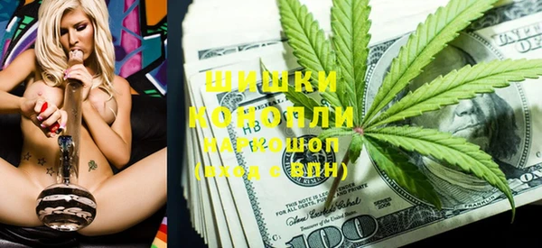 гидра Надым