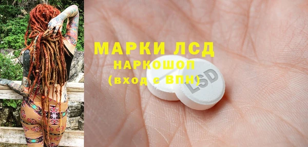 гидра Надым