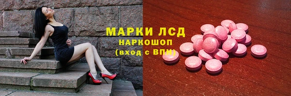 гидра Надым