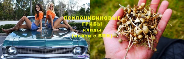 мдпв Нефтегорск