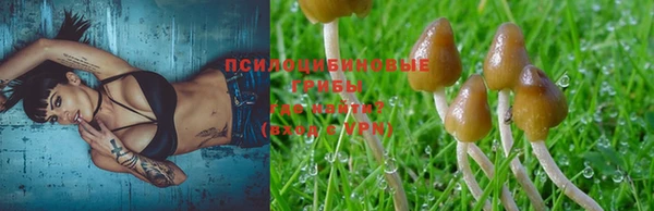 соль ск Болотное
